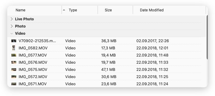 The ComfortFiles file list inside the photo library, grouped by type: sections for Live Photo, Photo and Video, with the Type column naming each row