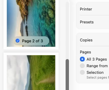 The print dialog with the selected photos as pages — Page 2 of 3 — and All 3 Pages chosen