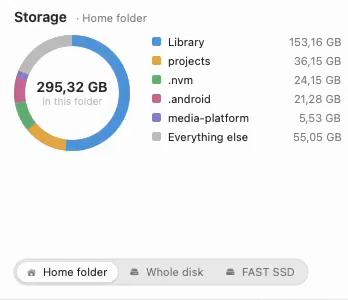 The Storage panel: a ring showing 295,32 GB in the home folder, the biggest folders listed beside it with their sizes, and buttons for the home folder, the whole disk and an attached drive