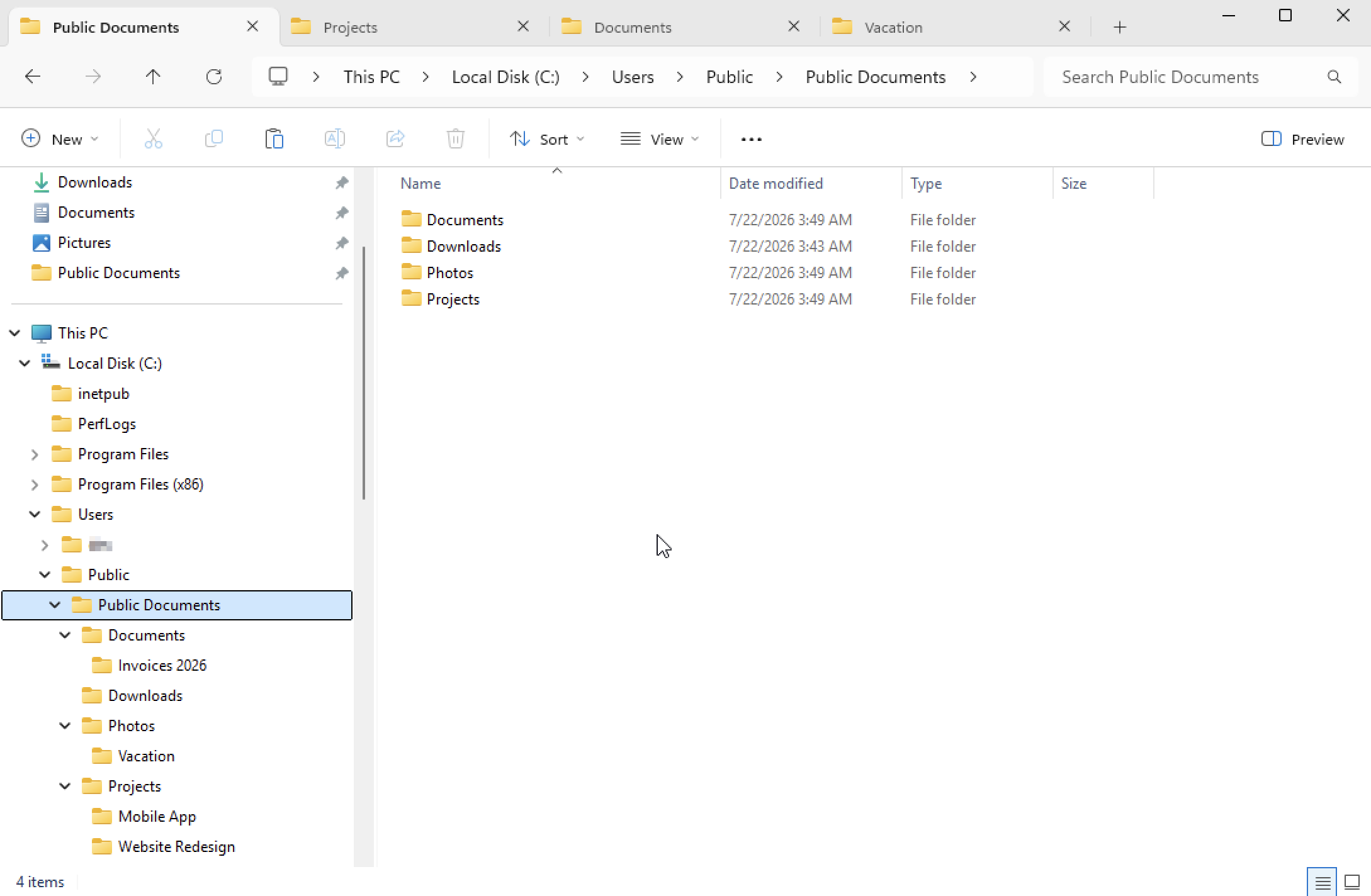 Windows Explorer showing the Public Documents folder — folder tree, address bar, tabs, and a details list with folders first.